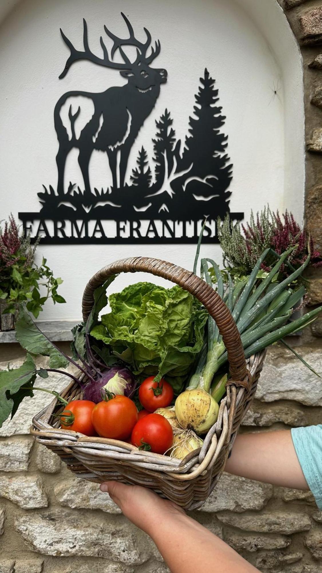 Farma Frantisek Hotel Stachy Exterior foto